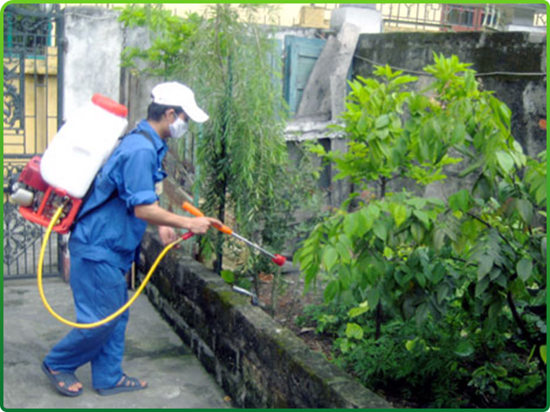 Dịch vụ khử trùng, khử khuẩn
